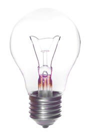 bulb